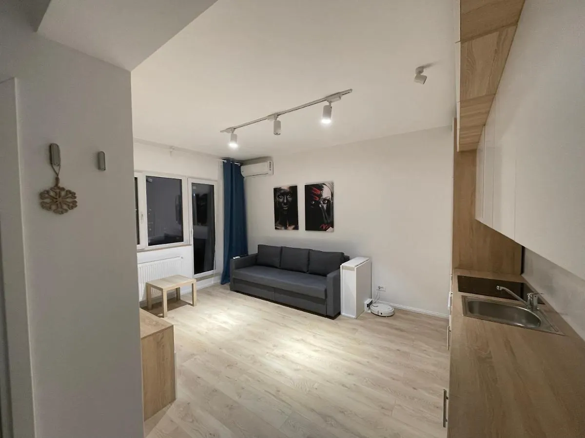 Treasure Luxury Apartment Palace Bukareszt