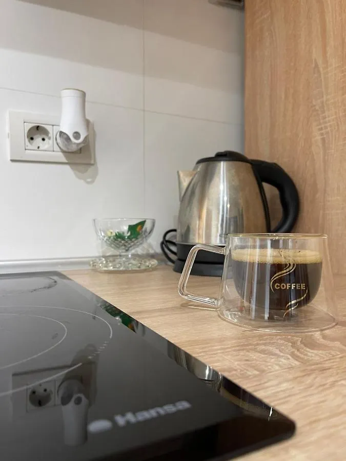 Treasure Luxury Apartment Palace Bukareszt